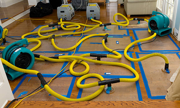 Professional Structural Drying And Dehumidification technician working in Seaview, WA
